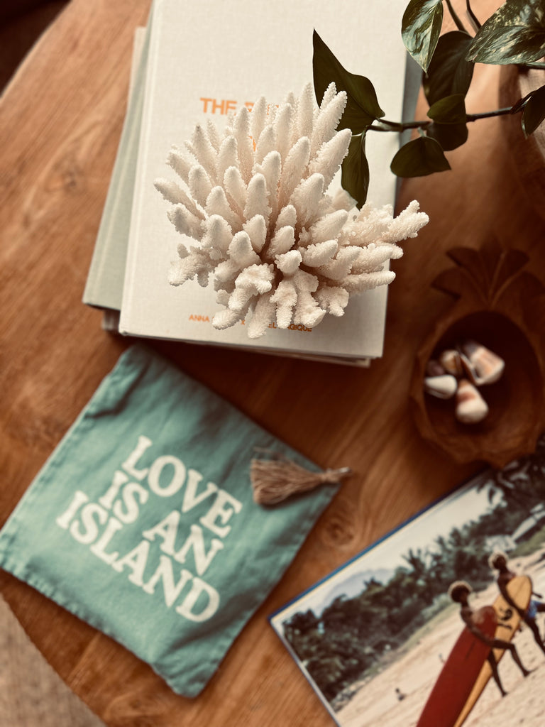 love is an island pouch | aqua